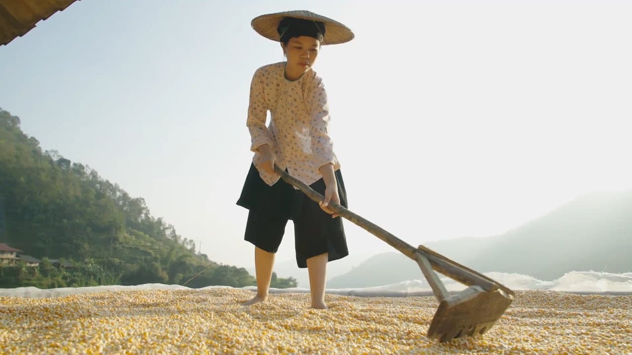 Khám phá Việt Nam - Đêm Xuân xem điệu múa Vươn